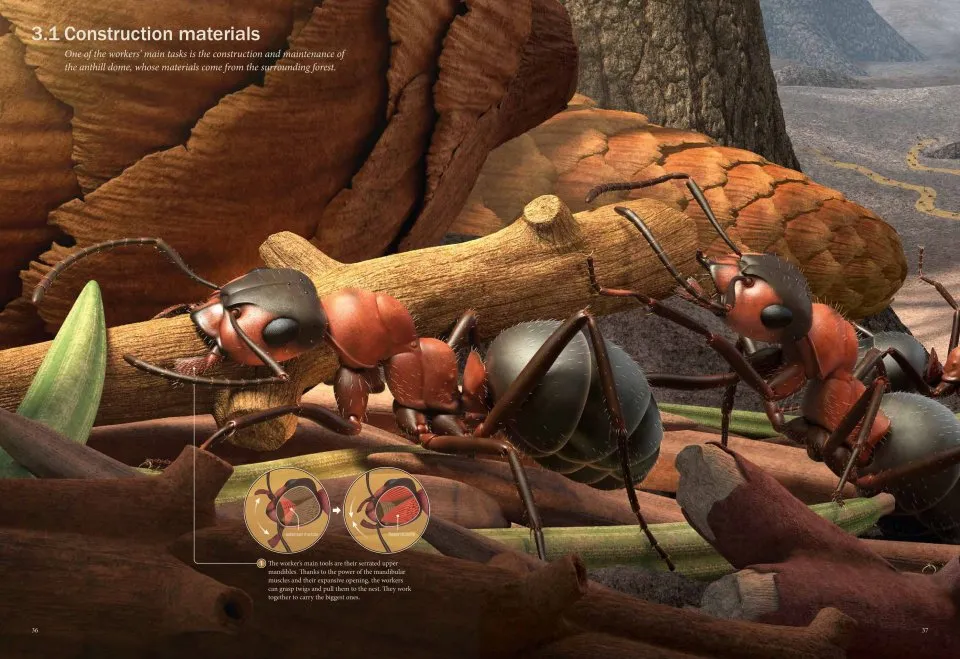 Ant Collective internal showing two ants carrying construction material in a wood.