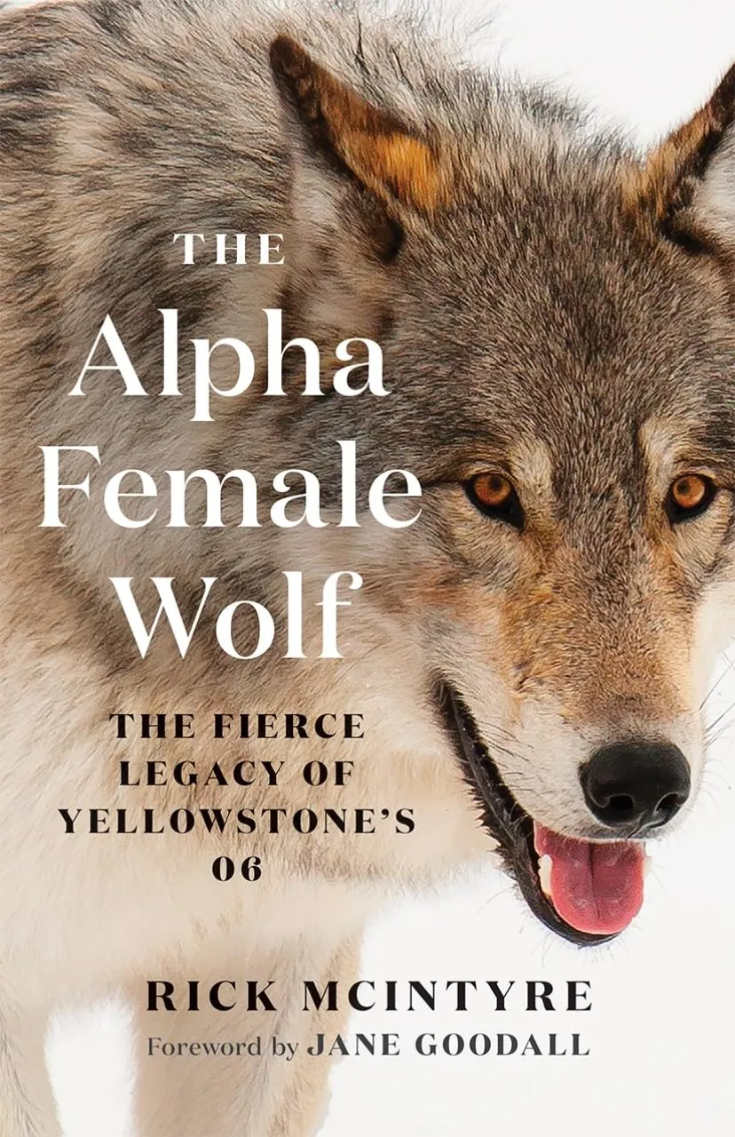 Book Review: The Alpha Female Wolf