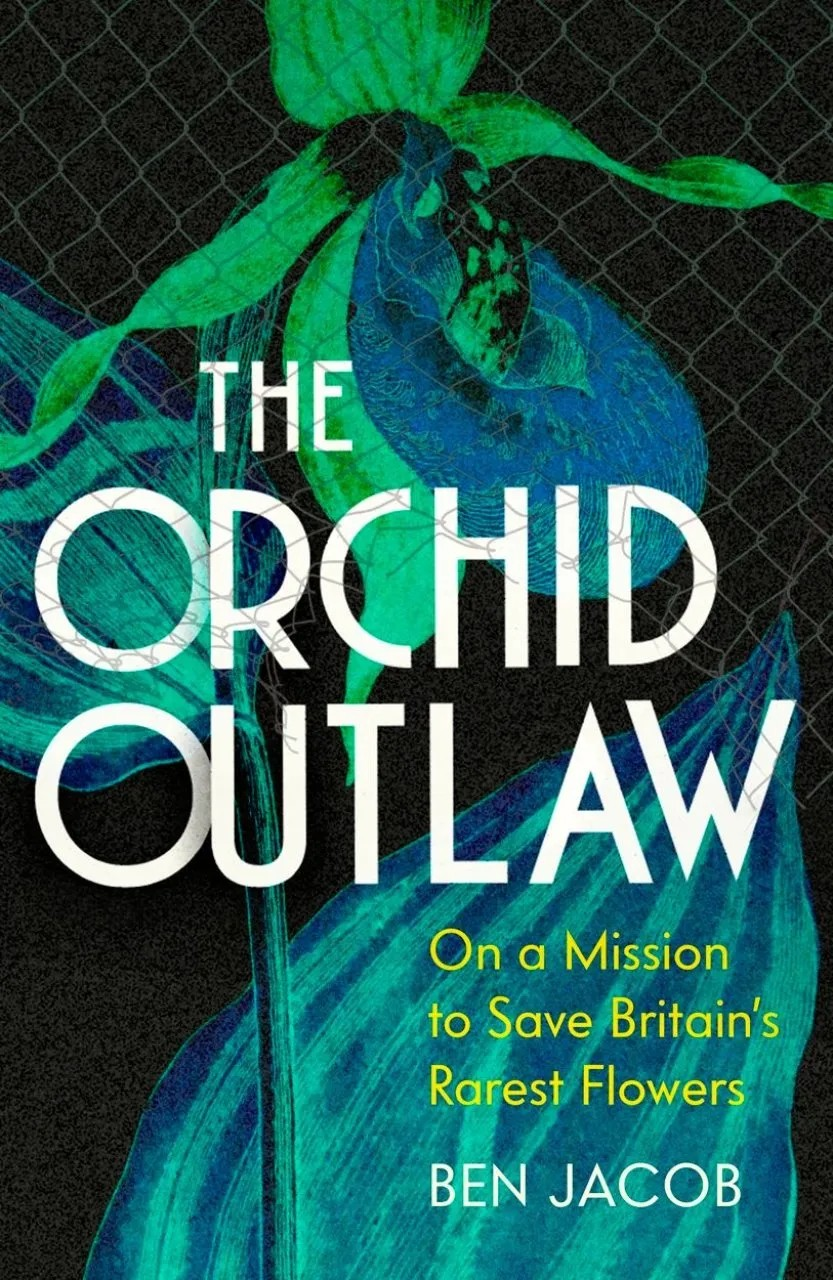 Orchid Outlaw book cover.