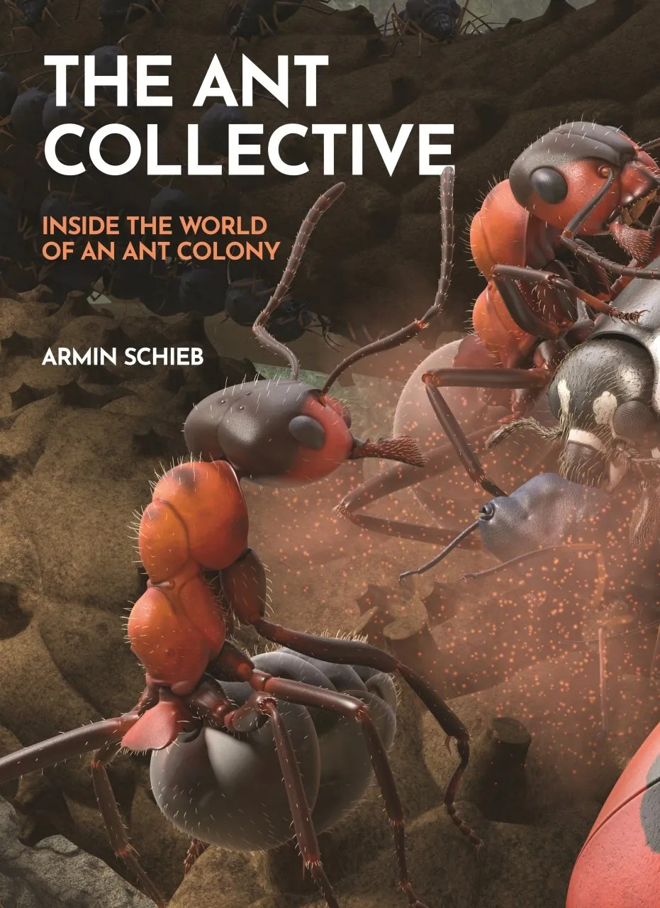 Book Review: The Ant Collective