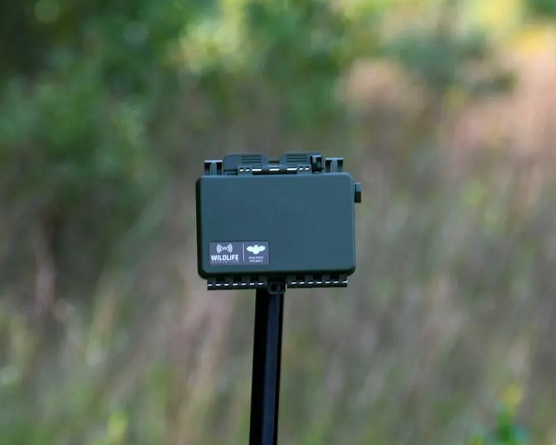 Song Meter Mini Bat 2 recorder in situ in a field.