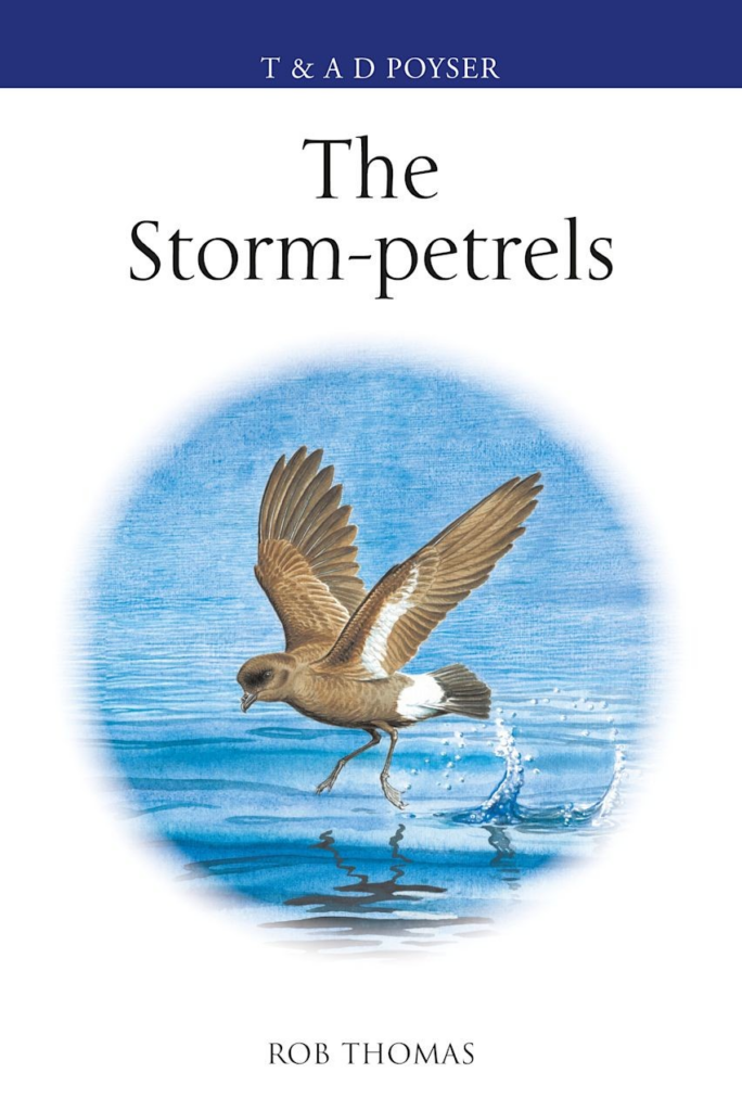 The front cover of storm petrels, shows a small brown and white bird swimming above water