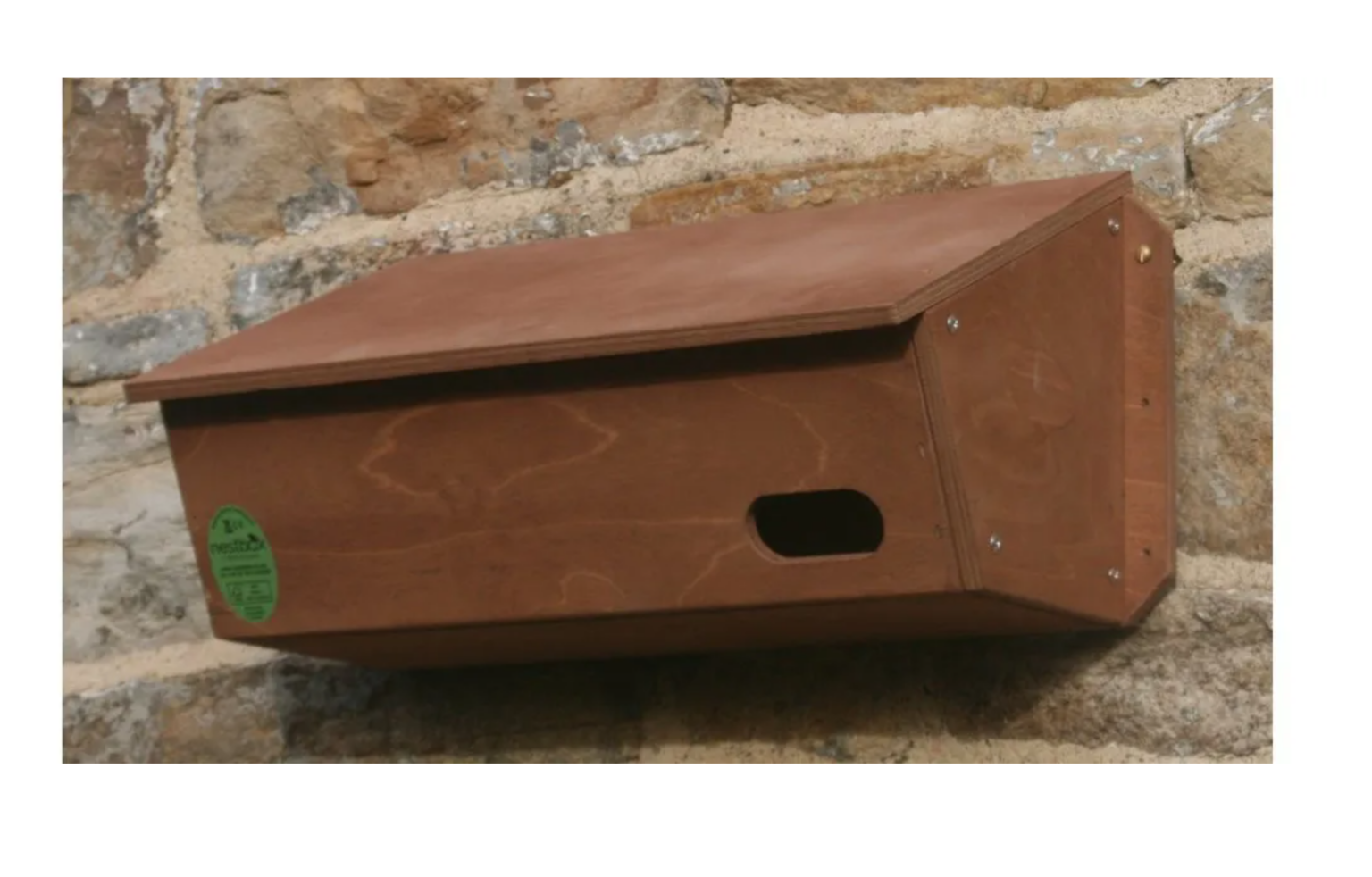 The NHBS Guide to Swift Nest Boxes