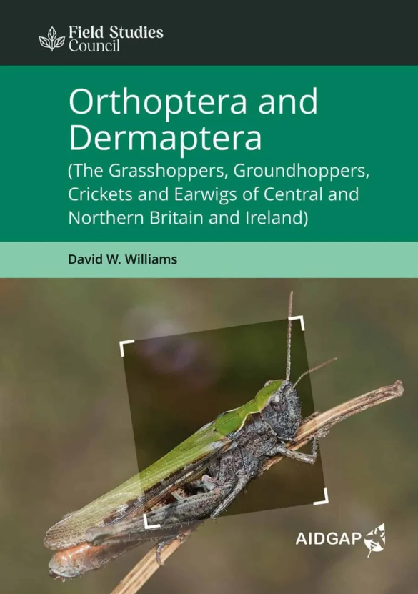 book cover for 'orthoptera and dermaptera'. Shows a large grasshopper on a plant stem