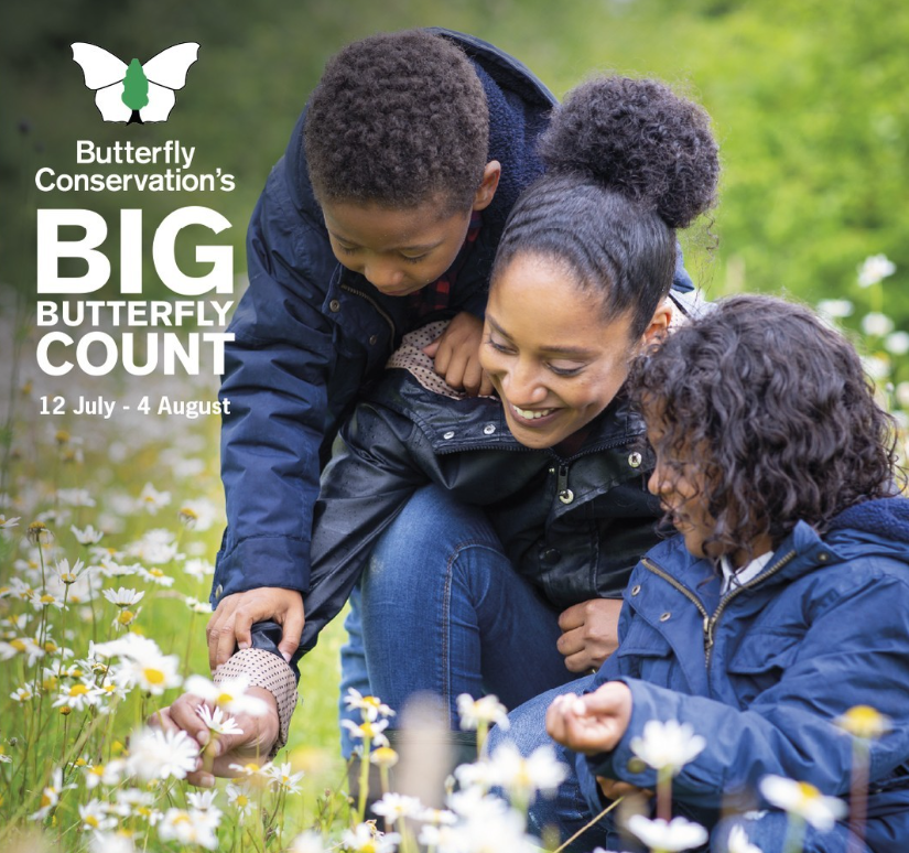 A mother and her children are observing some flowers in a field, advertising the big butterfly count