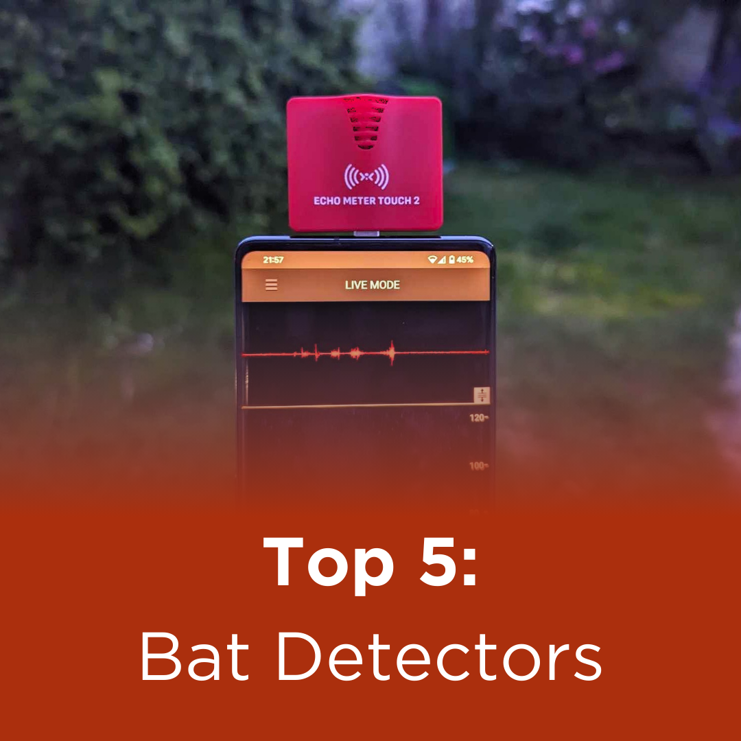 Top 5: Bat Detectors