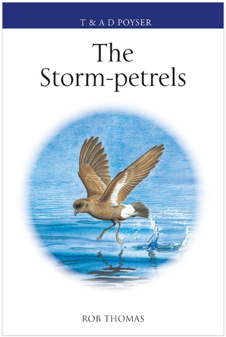 Author Q&A with Rob Thomas: The Storm-petrels