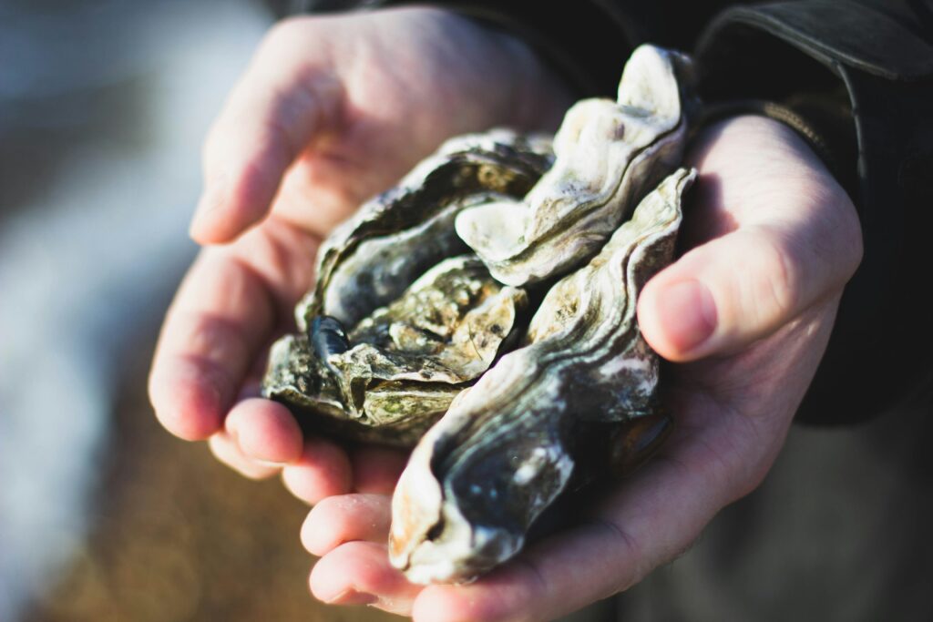 Outstretched hands holding a few oysters