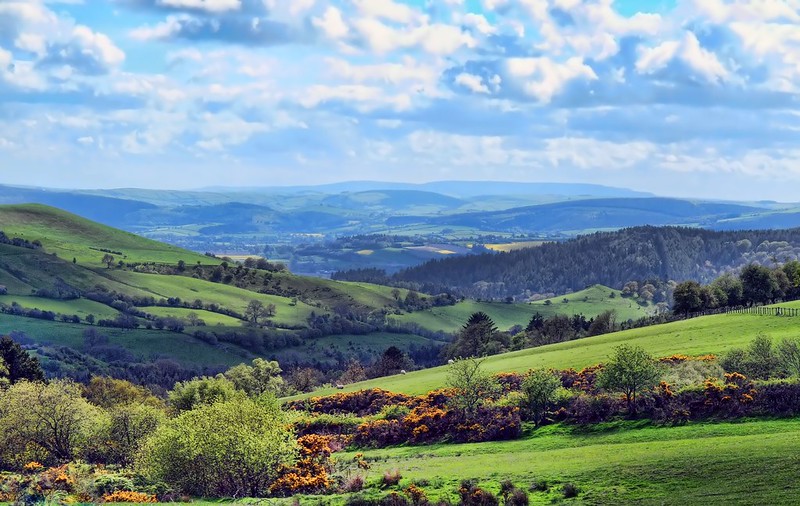 Those Blue Hills by Jim Roberts Gallery.