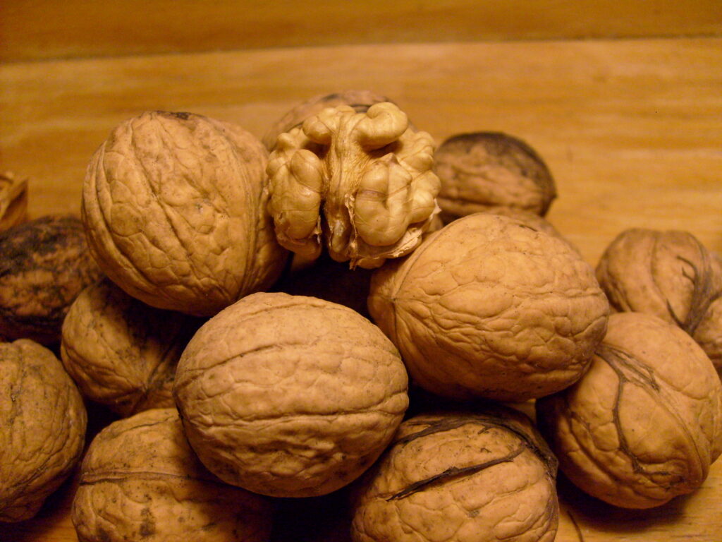 A group of walnuts on a wooden table, with the shell they have a veiny texture and without a shell they have pits and waves