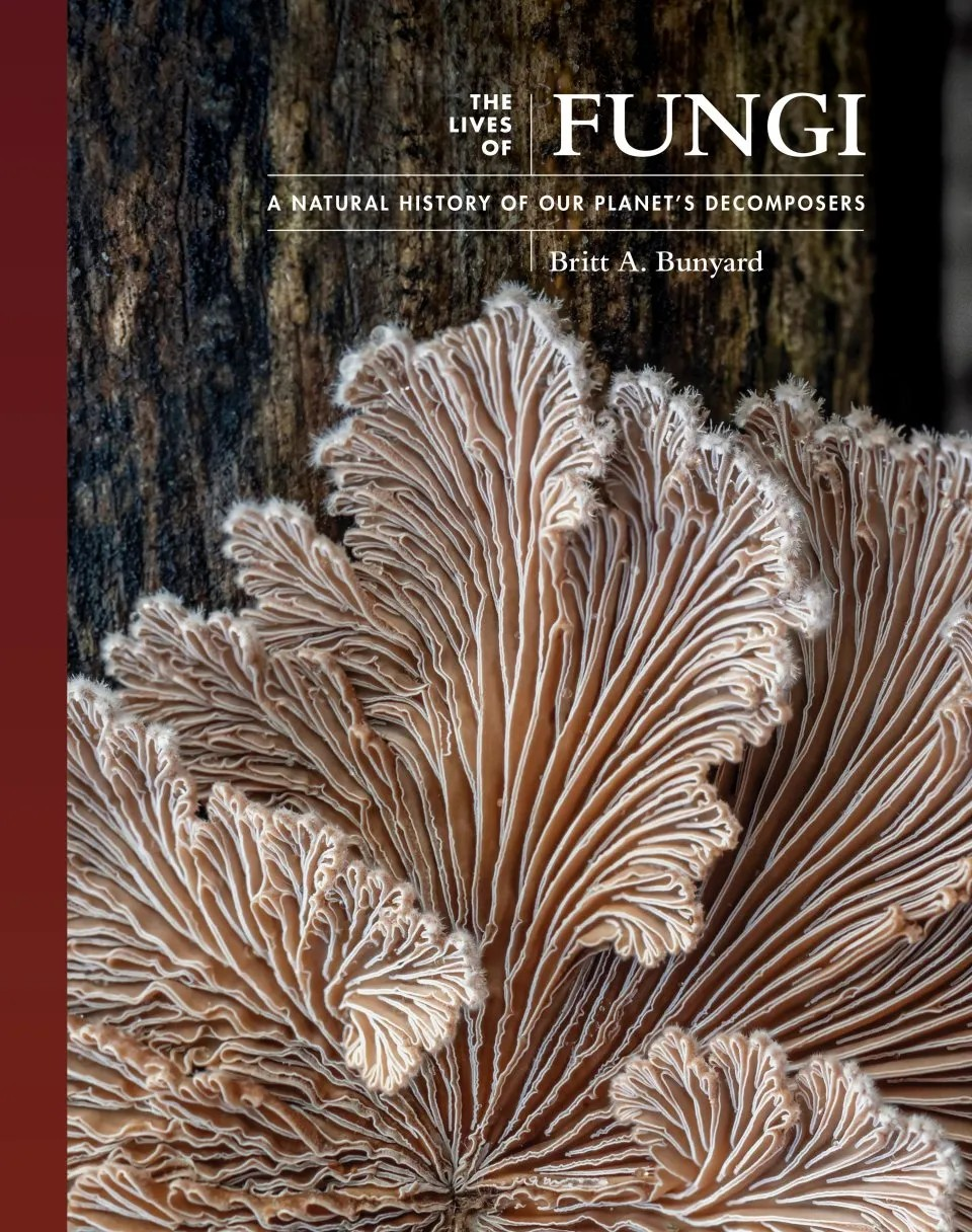 The Lives of Fungi book cover.