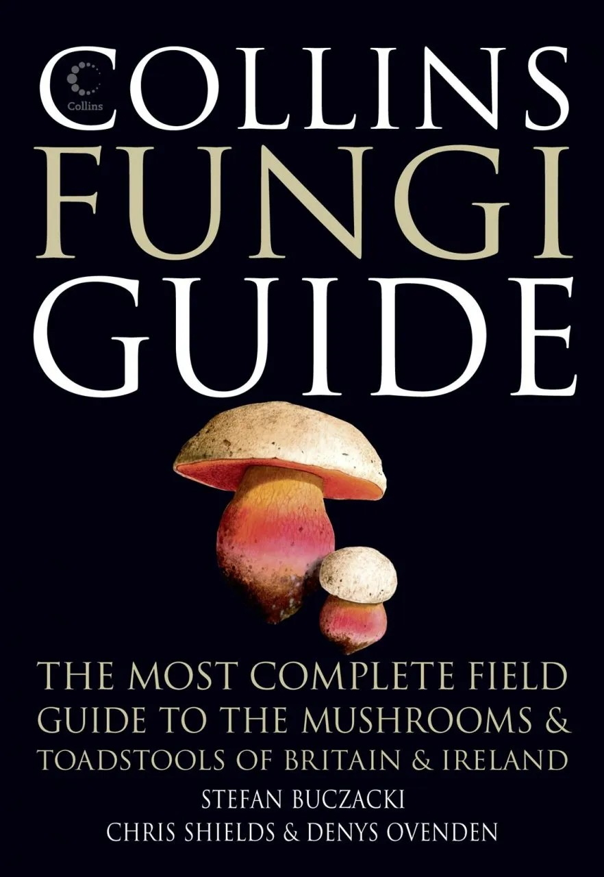 Collins Fungi Guide book cover.