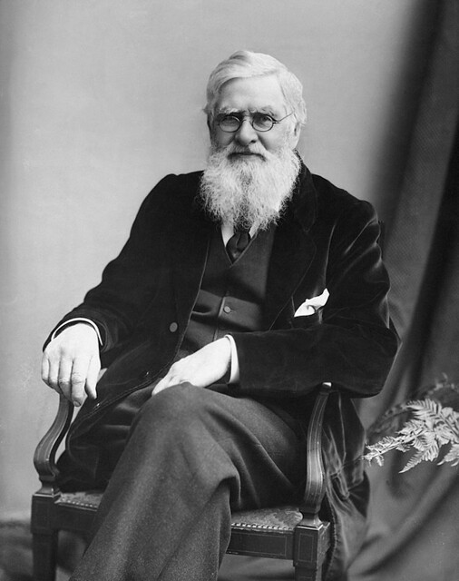 Alfred Russel Wallace, c1895.