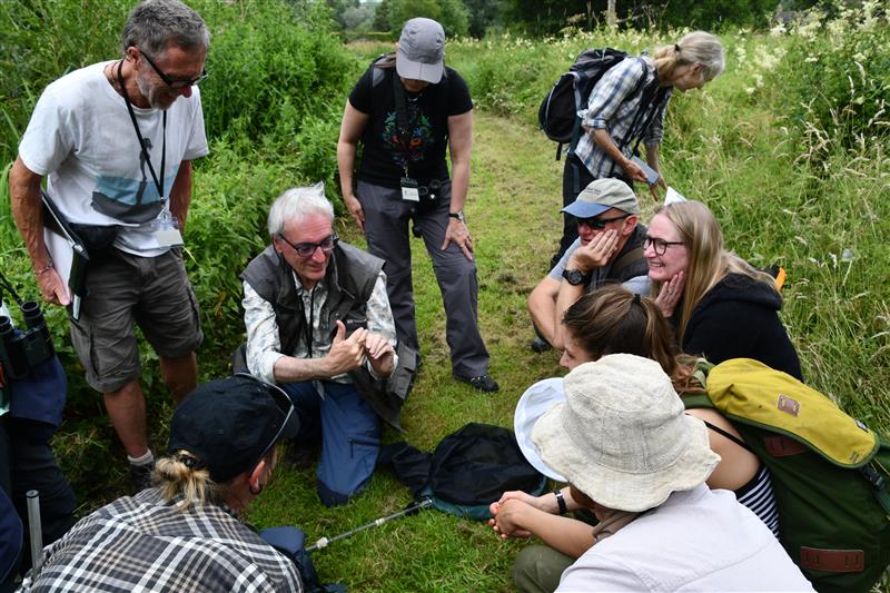 Natural history course participants learning how to identify dragonflies and damselflies 