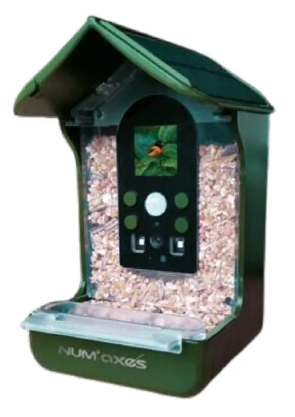 numaxes bird feeder camera