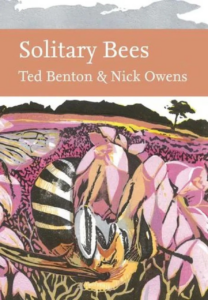 259552 Solitary Bees