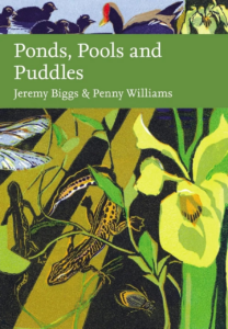 127504 Ponds, Pools and Puddles 