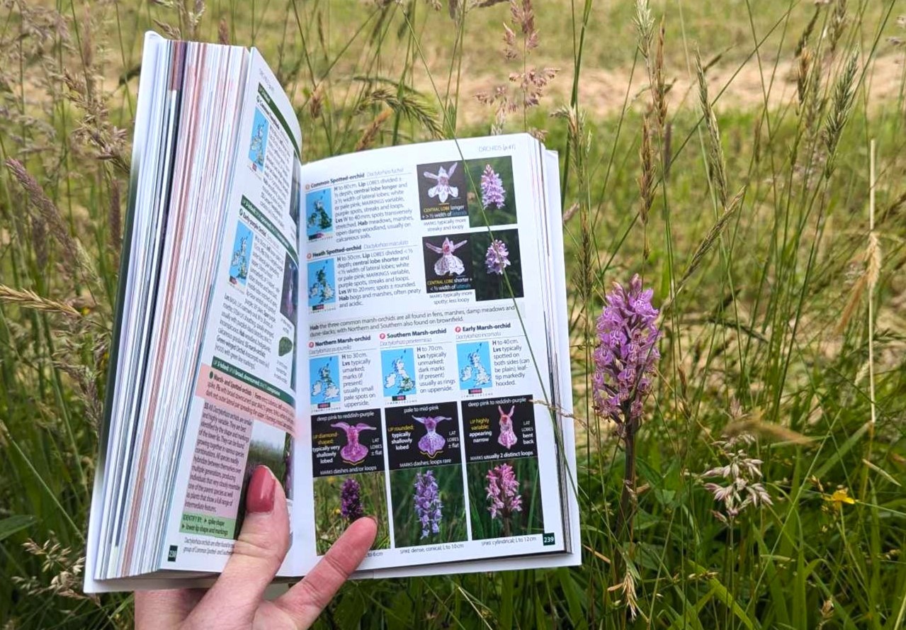 British and Irish Wildflowers and Plants.