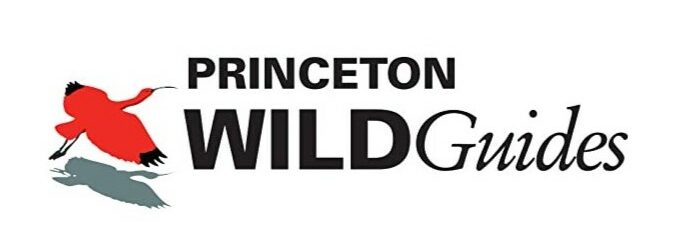 Wildguides logo.