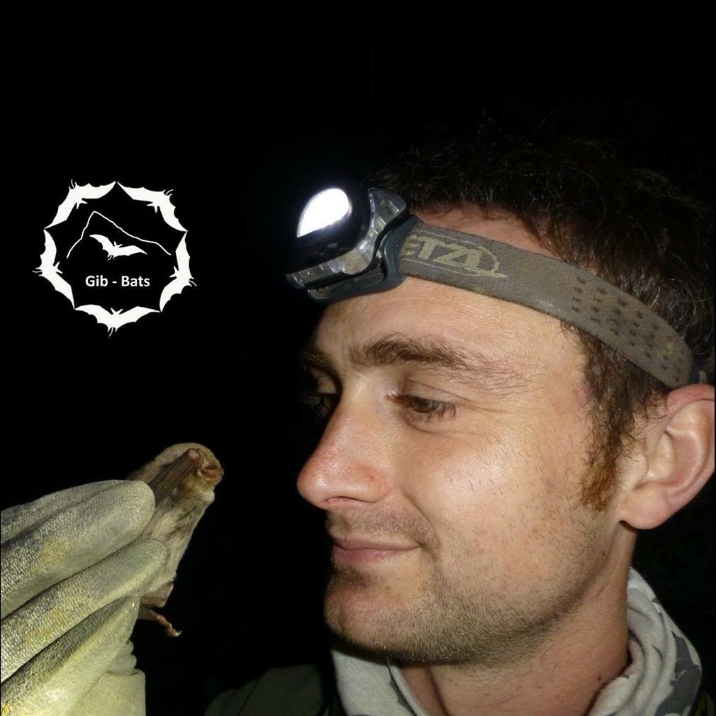 Author interview with James Shipman: Identifying Bats of Britain and Ireland