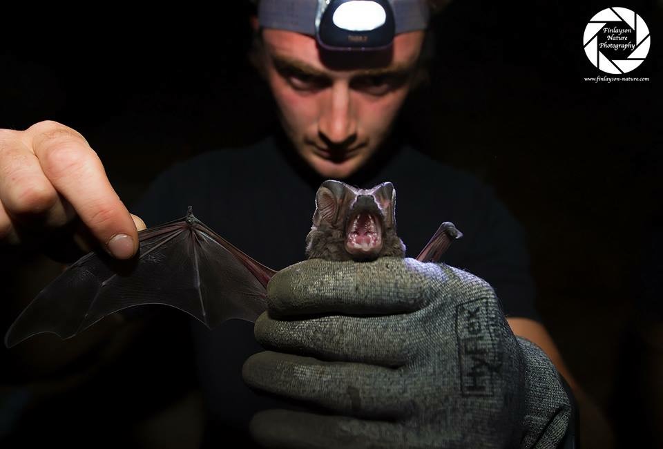 James Shipman holding a bat under torchlight.