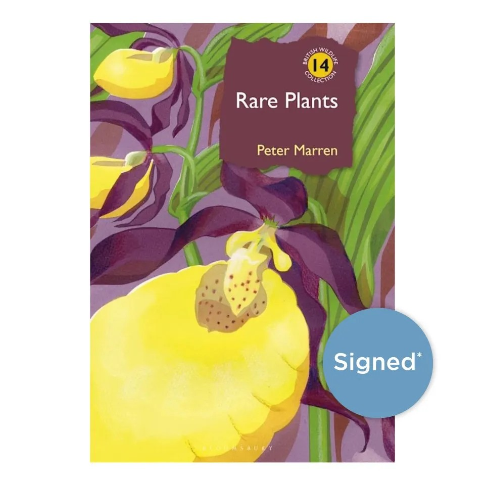 Rare plants book cover showing a yellow lino print orchid.