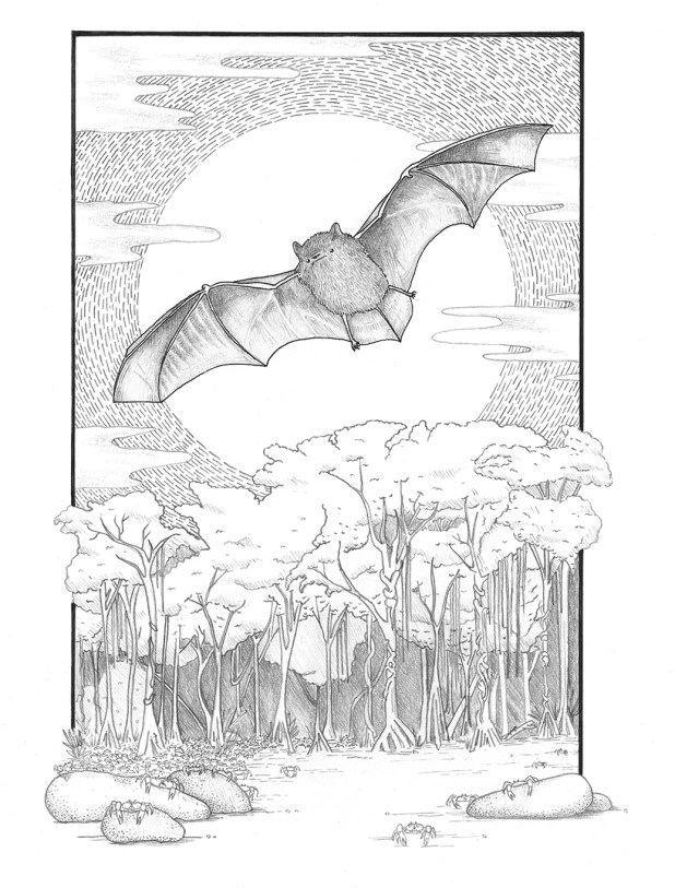 Extinct bat species line drawing, flying over trees towards the front of the page.