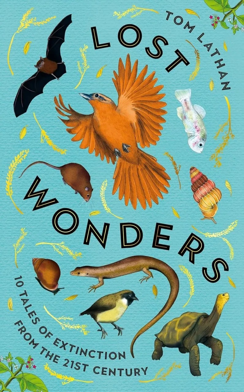 Lost Wonders book cover.