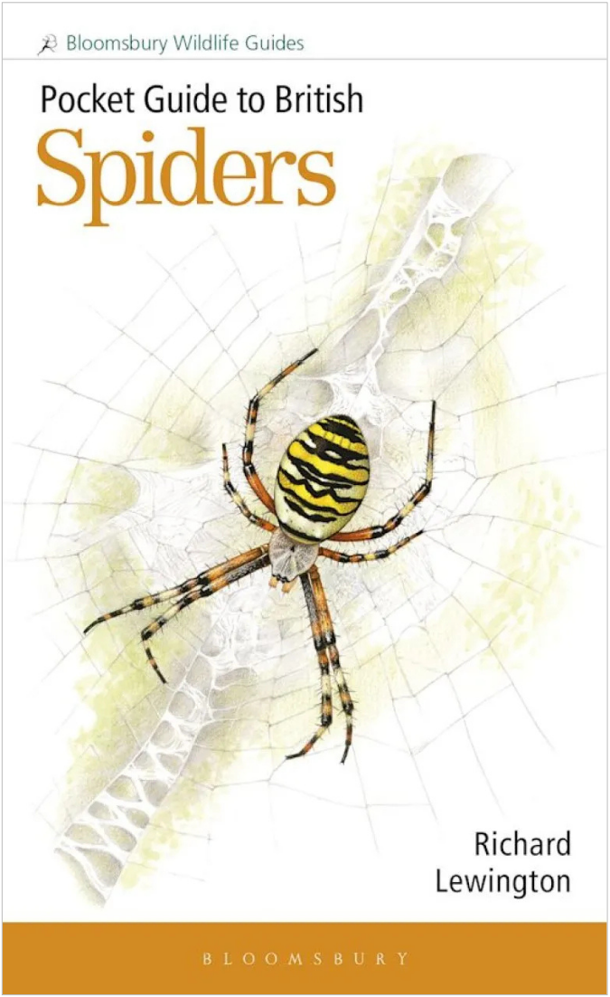 Pocket Guide to British Spiders book cover.