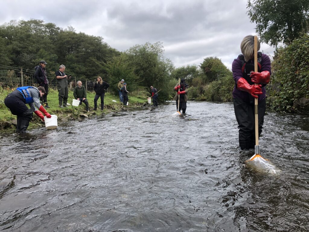 Kick sampling in a river