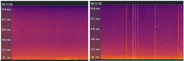 Song Meter Mini 2 Li-Ion (right) and Micro 2 (left) wind distortion 