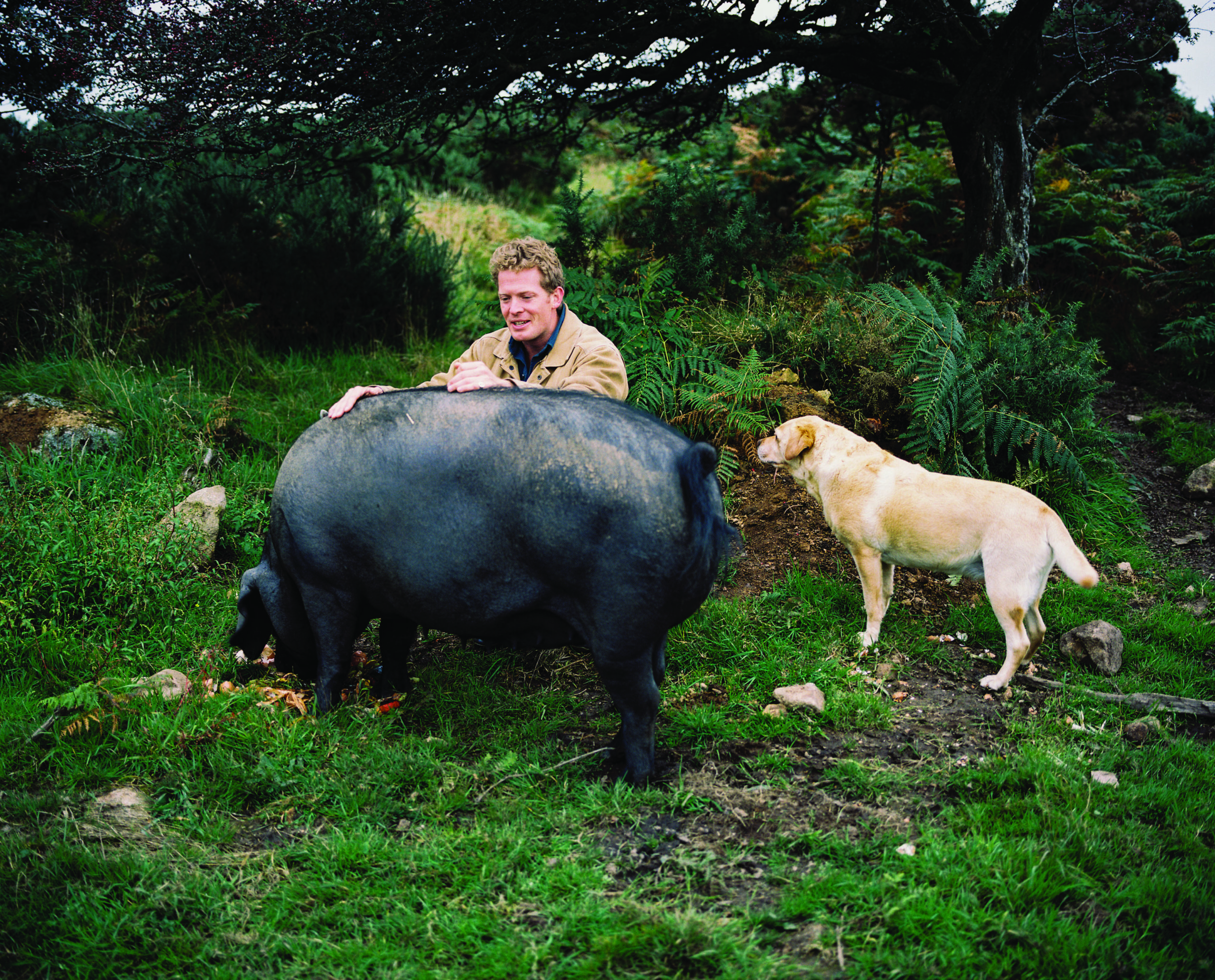 A rainforest rotovator. Merlin and his dog with their pig Gloria.