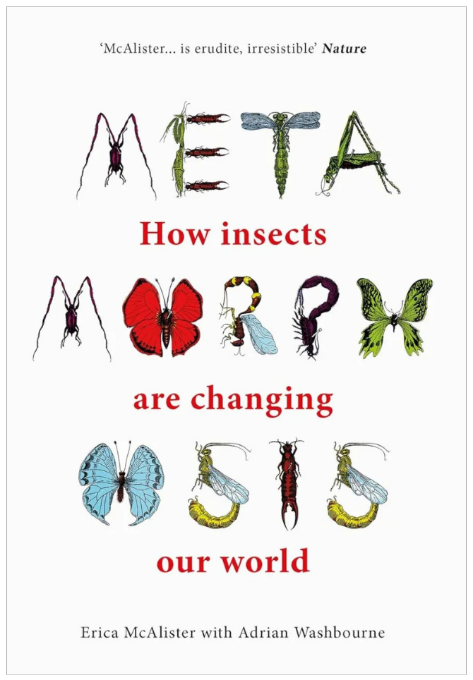 Metamorphosis book cover.