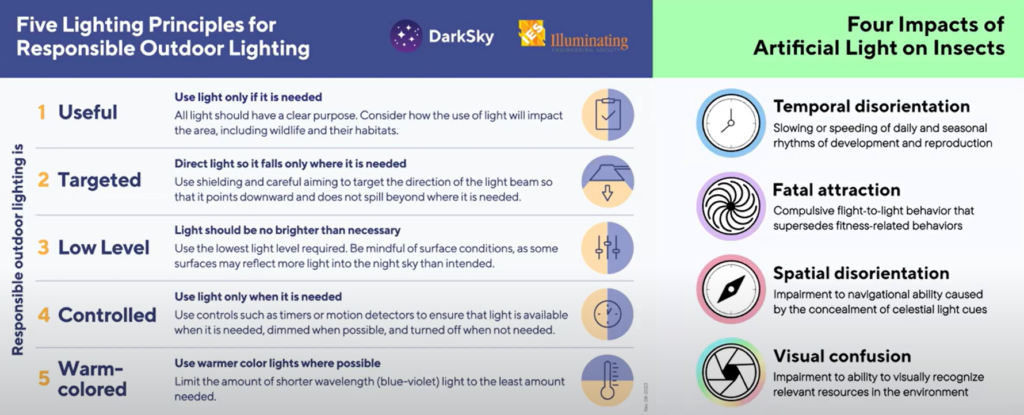 Five lighting principles for responsible outdoor lighting and impacts of artificial light on insects