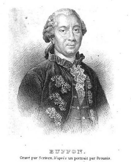 Comte de Buffon via the British Library.