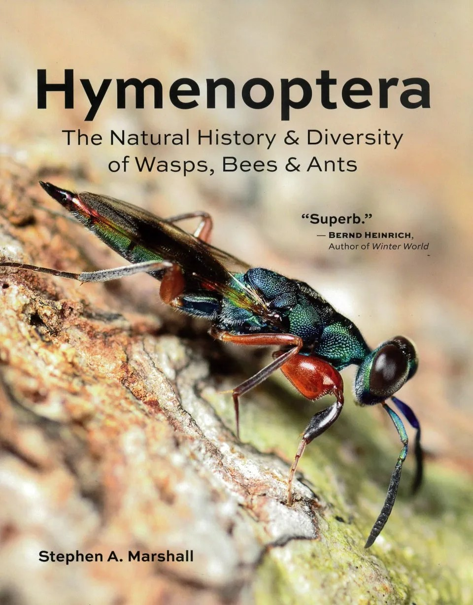 Hymenoptera book cover.