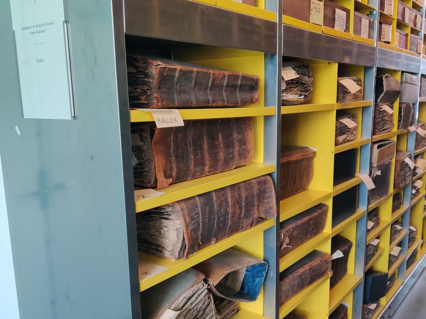Some of the historical herbaria and exsiccata in the collections of the museum's botanical library.
