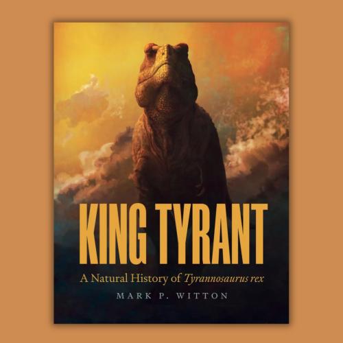 Book review: King Tyrant