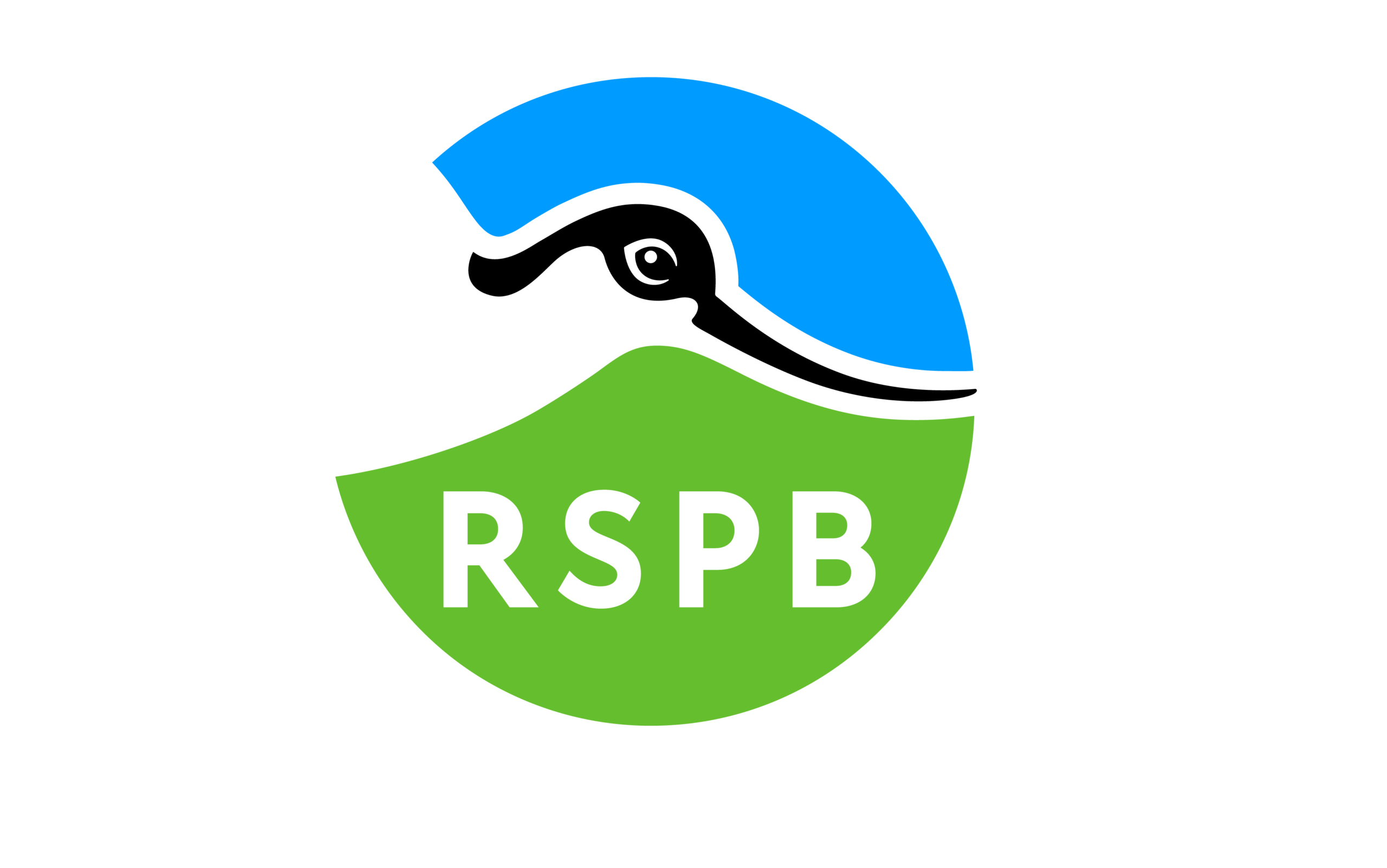 Uk Rspb Logo Interview with RSPB: A Night of Nature