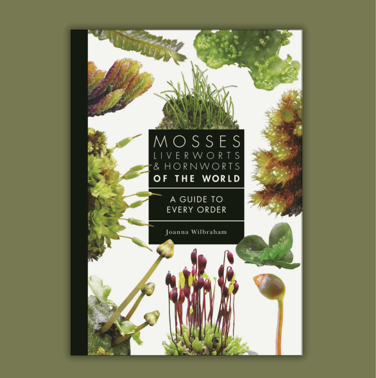 Author interview with Joanna Wilbraham: Mosses, Liverworts, and Hornworts of the World