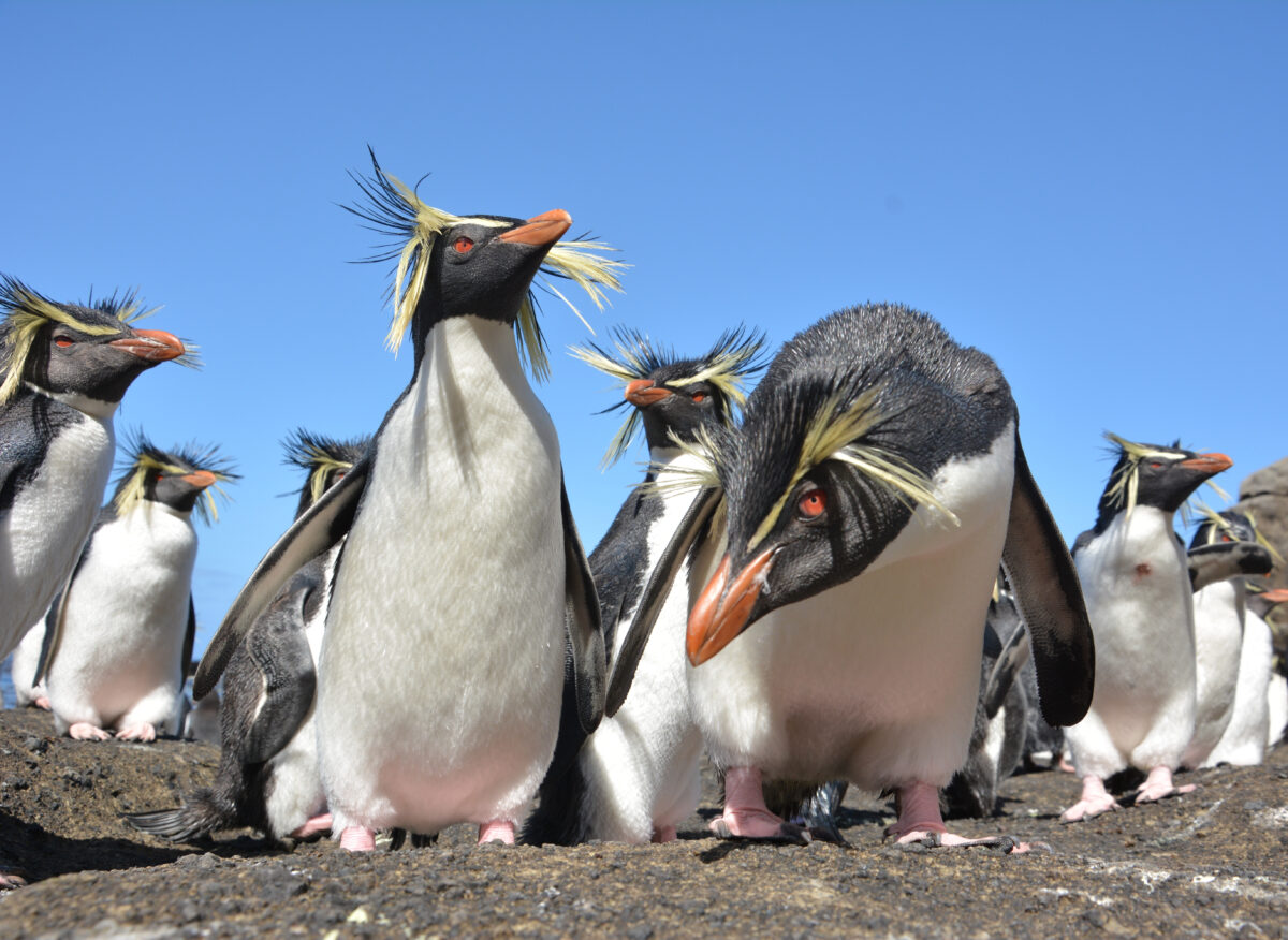 International Day of Women and Girls in Science 2026: Interview with Dr Antje Steinfurth