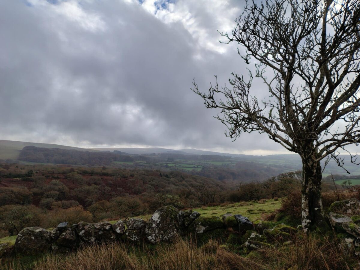 Conservation volunteering with the Dartmoor Preservation Association