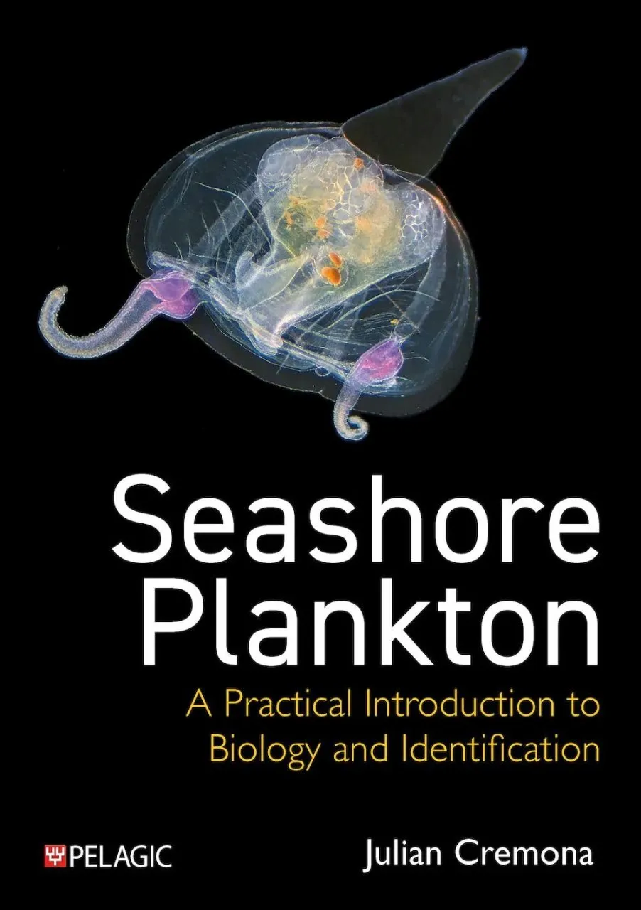 Author interview with Julian Cremona: Seashore Plankton