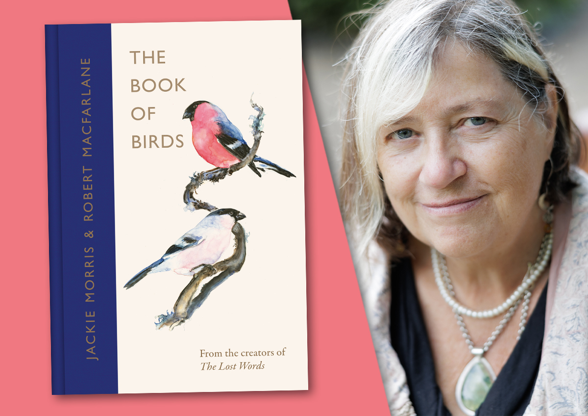 Author Interview with Jackie Morris: The Book of Birds