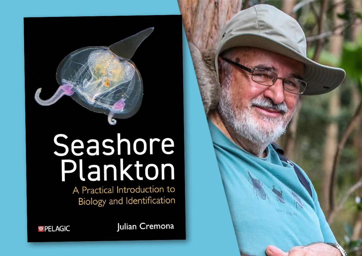 Author interview with Julian Cremona: Seashore Plankton
