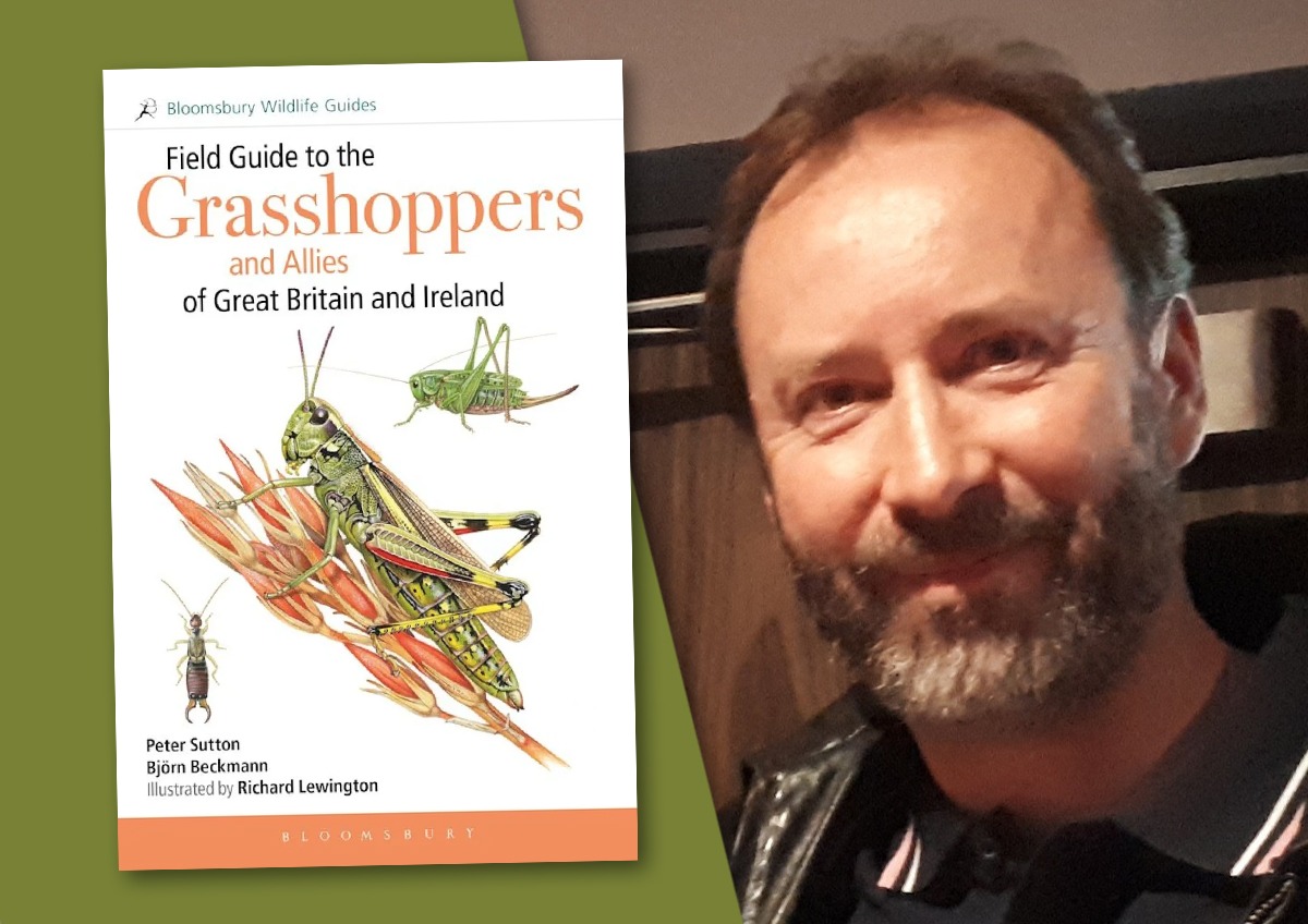 Author interview with Peter Sutton: Field Guide to the Grasshoppers and Allies of Great Britain and Ireland