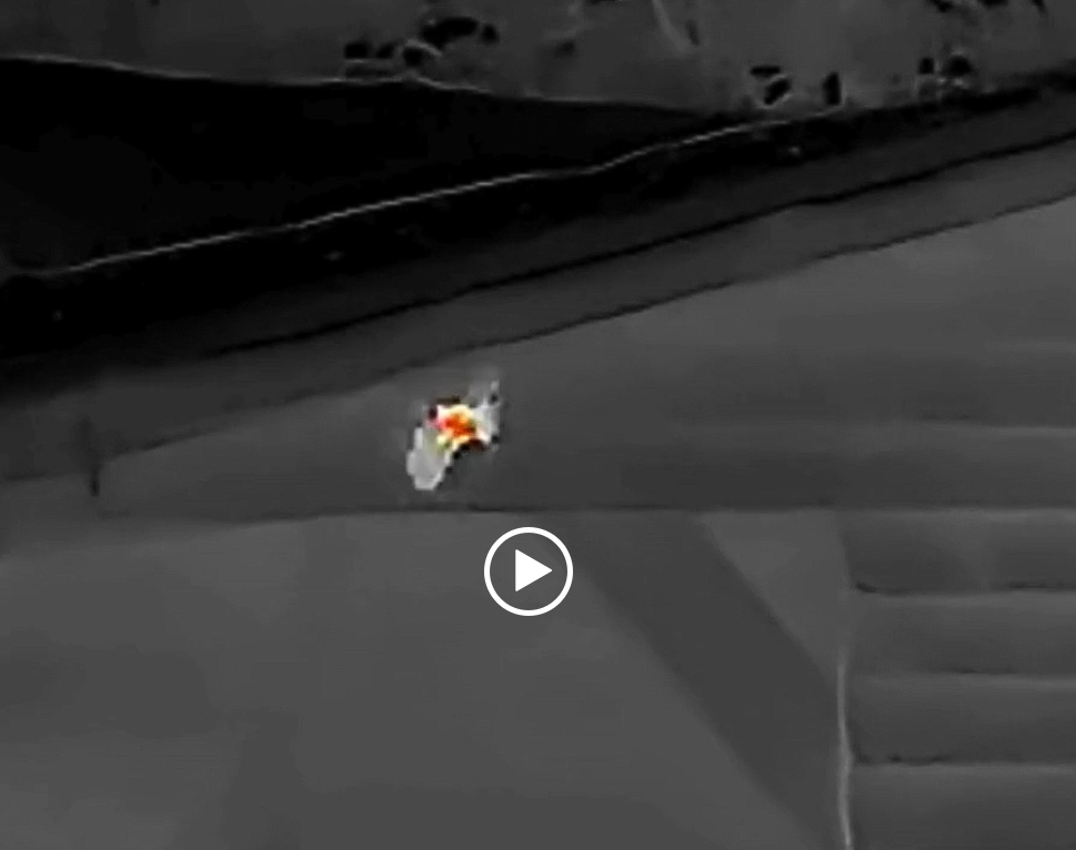 Thermal Imaging and Bat Surveys