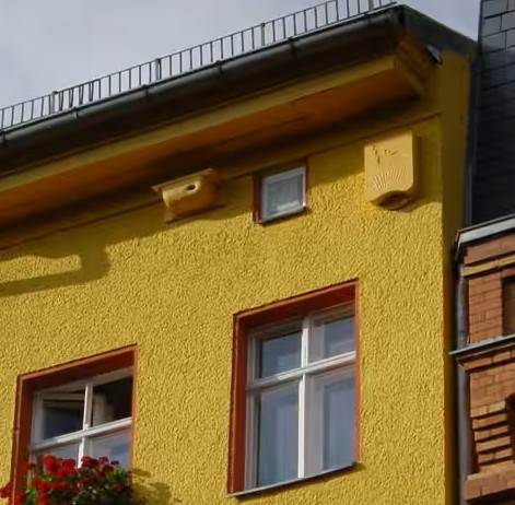 Tips on How To Paint Your Bird and Bat Nest Box