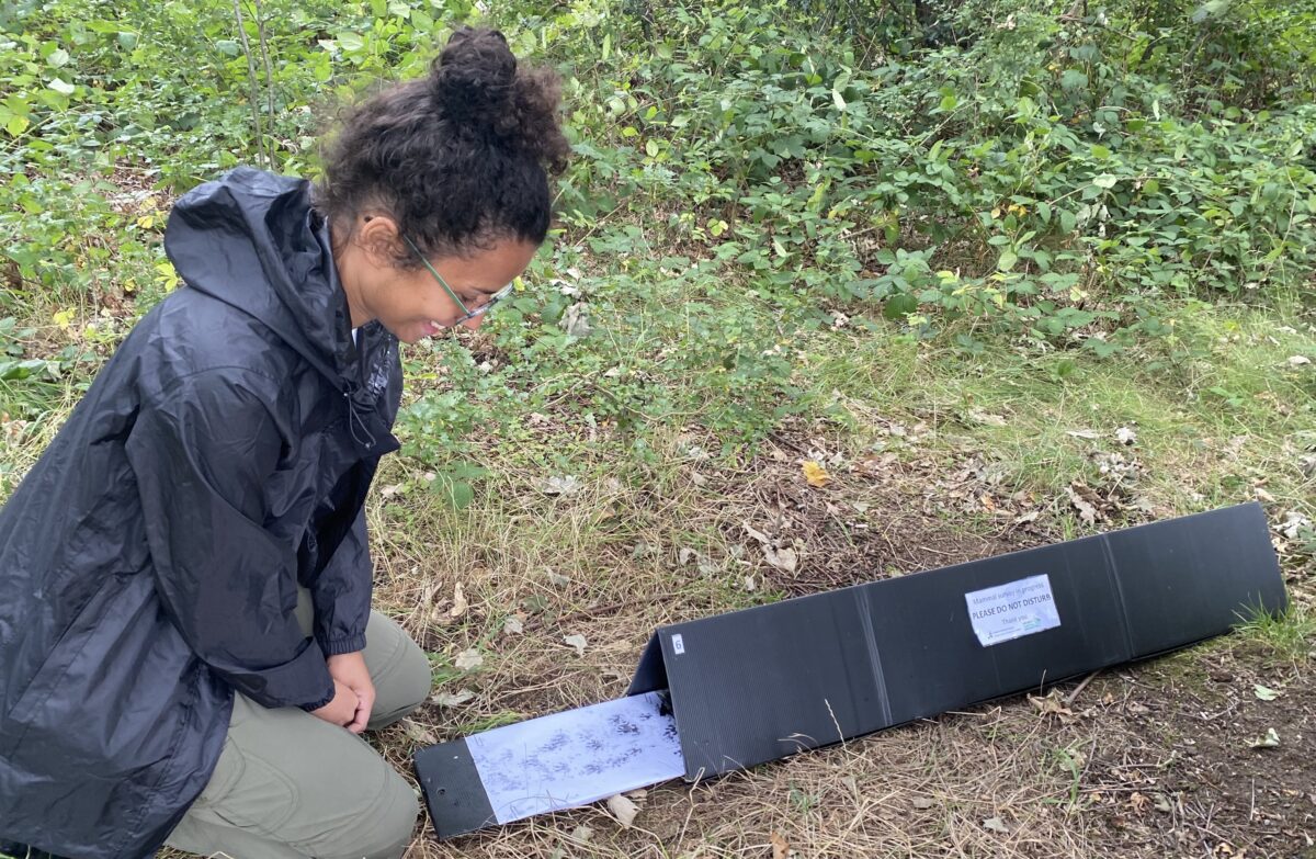 Interview with Emma Onyejekwe: Mammal Society’s Mammal Champion 2026