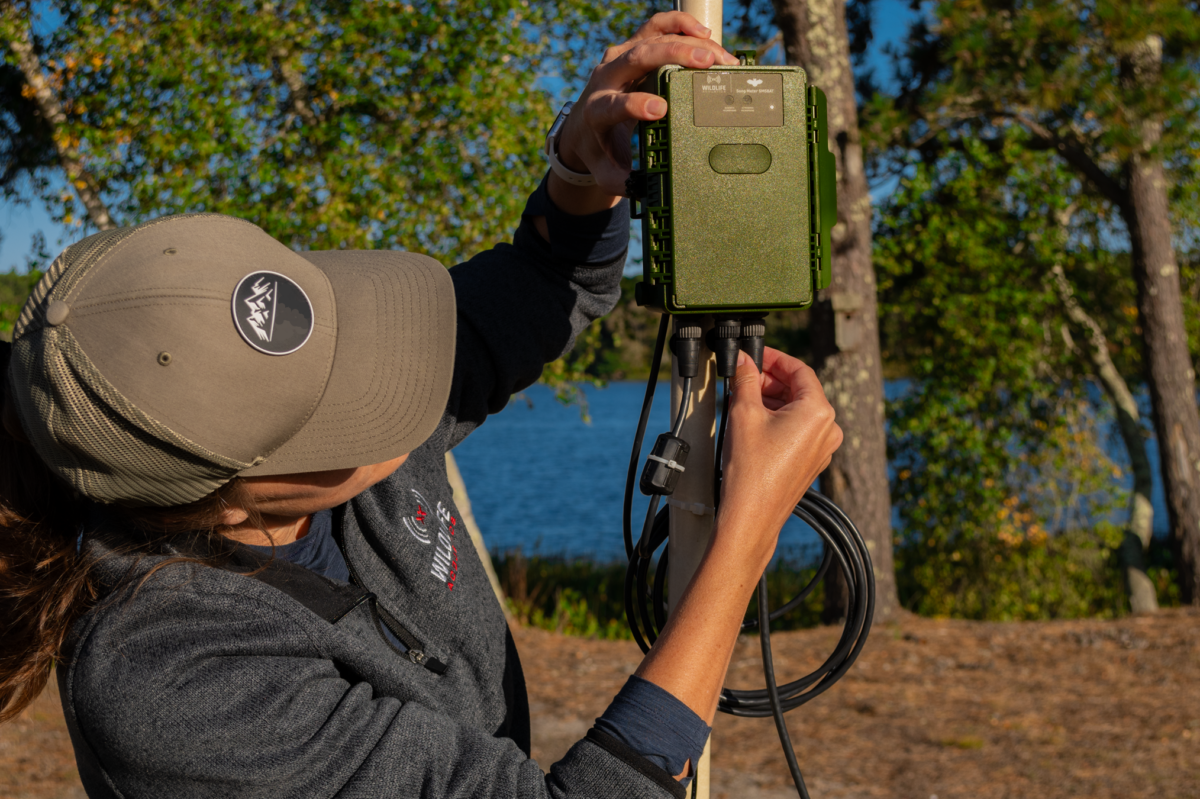 Song Meter® SM5: A Guide to Wildlife Acoustics’ Passive Recorder Range